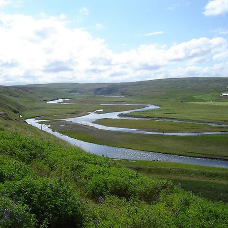 Daeli Guesthouse Víðidalstunga Eksteriør bilde