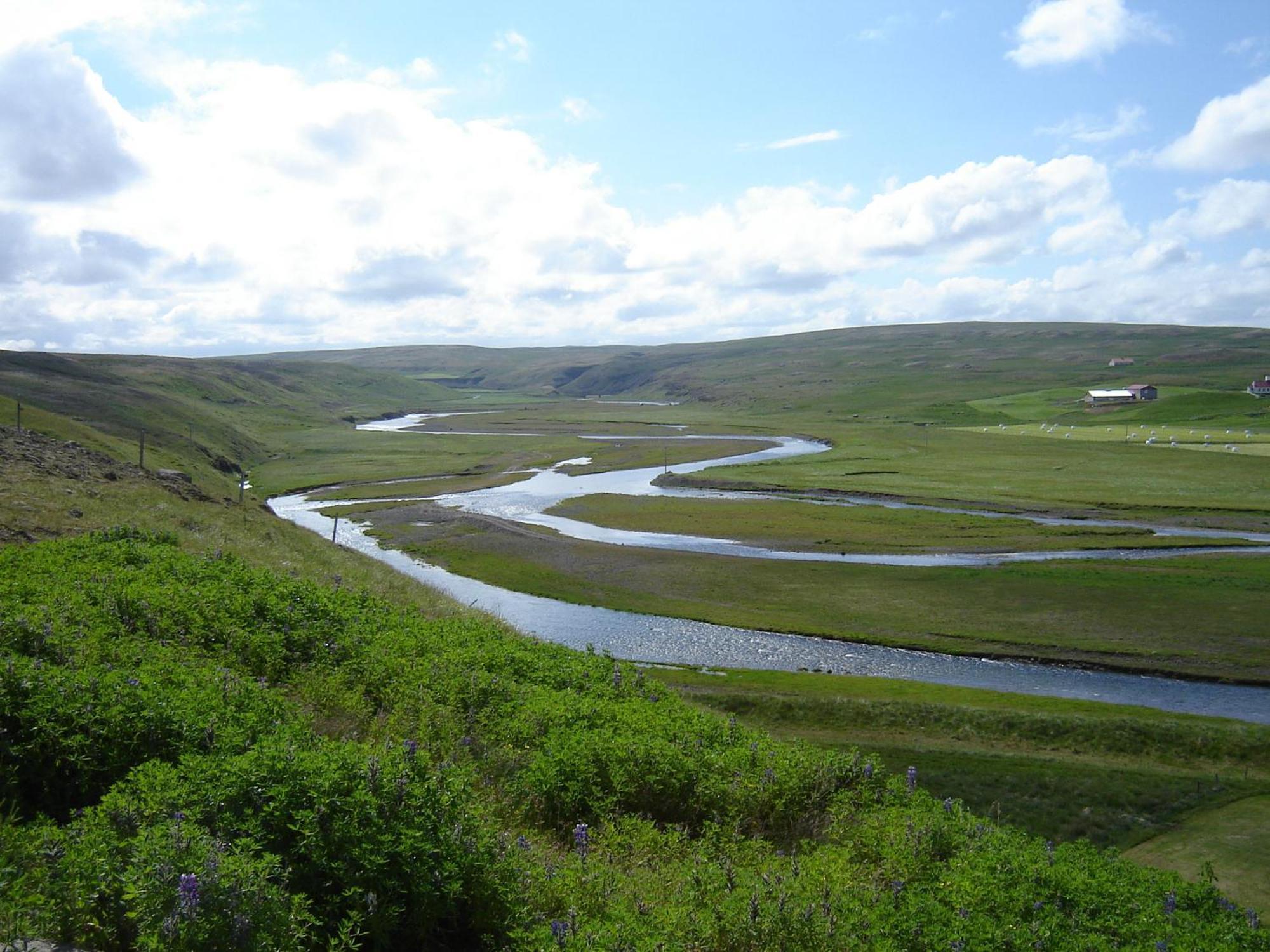 Daeli Guesthouse Víðidalstunga Eksteriør bilde